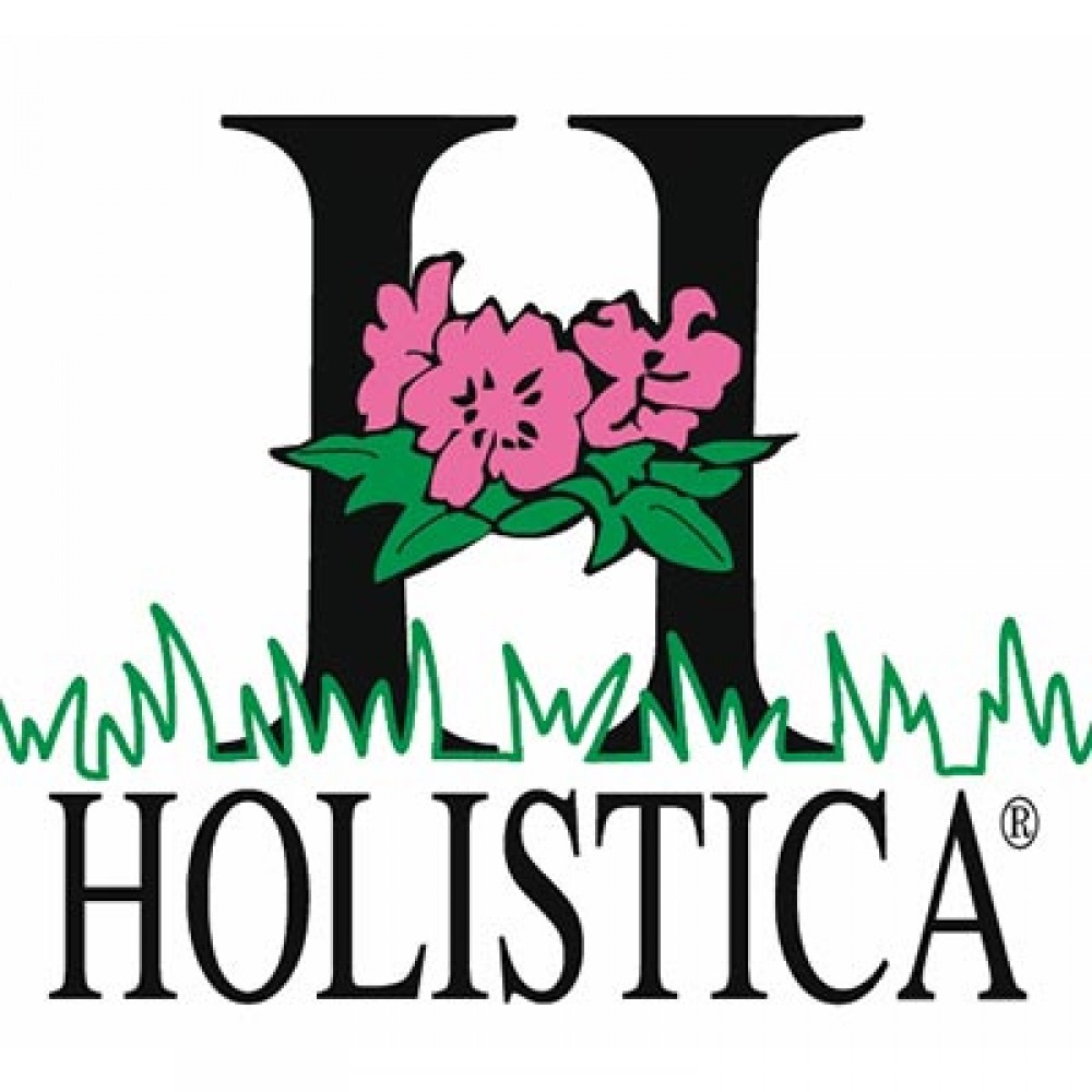 hoistika